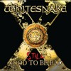 Whitesnake 'Still...Good To Be Bad' (Warner Music Japan 2011)