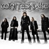 Whitesnake UK Tour Advert (2011)