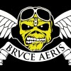 Bruce Dickinson 'Bruce Air' logo design (2006 Duellist Enterprises)